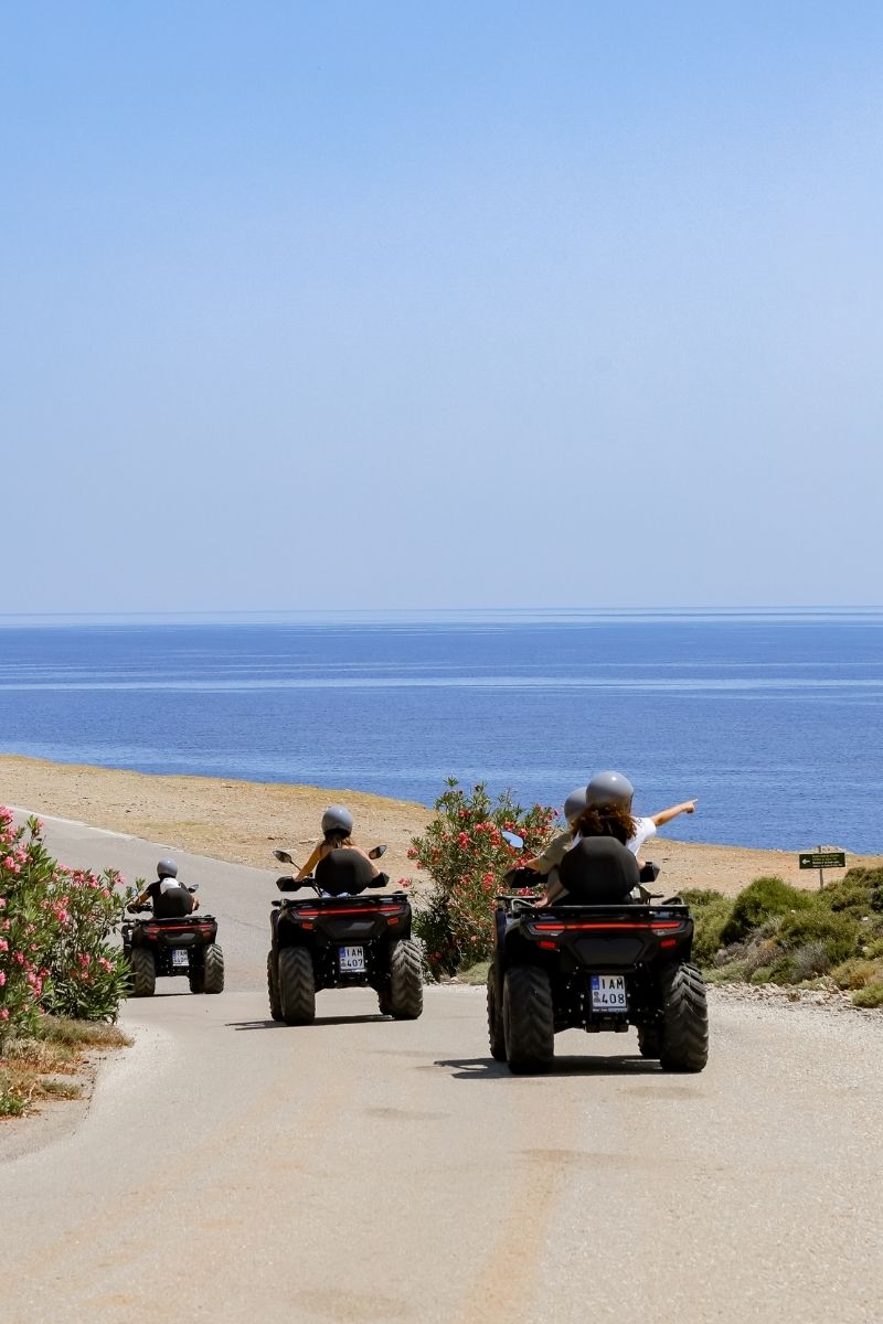 website 800x1200 (4)